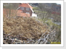 Das Nest nach der Renovierung 2011